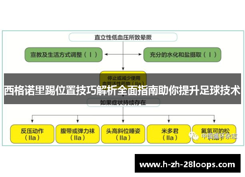 西格诺里踢位置技巧解析全面指南助你提升足球技术 西格诺里踢位置技巧解析全面指南助你提升足球技术